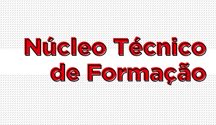 Nucleo_Tecnico_Formacao_740_x_430.jpg