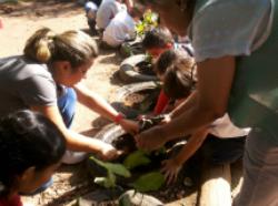 Projeto motiva as crianças a pensarem e cuidarem do meio-ambiente