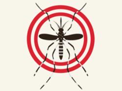 Roteiro de eliminação de criadouros e orientações de combate ao Aedes aegypti