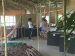 Exposição no CEU Parelheiros transforma biblioteca da unidade em aldeia indígena