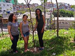 Projeto da EMEF Jardim Paulo VI arboriza a escola com mais de 350 mudas