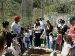 EMEI Recanto Campo Belo renova sua horta