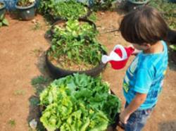 Curso “Introdução ao Cultivo de Hortas Pedagógicas” na DRE Penha