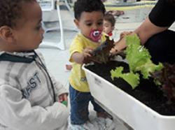 Professoras do CEI Vila Salete promovem atividade de plantio de hortaliças