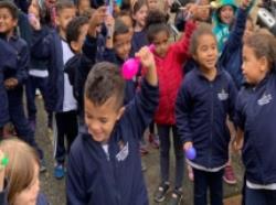 Escola Municipal de Educação Infantil Sena Madureira participa do Dia do Desafio