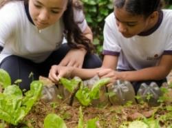 Ações de Educação Ambiental na Rede Municipal de Ensino