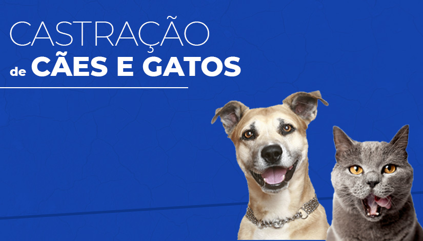 Imagem com fundo azul e no canto superior esquerdo os dizeres "Castração de Cães e Gatos" e ao lado inferior direito a imagem de um cachorro e um gato.