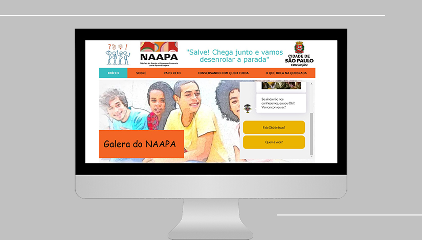 Imagem com uma tela de computador e o site do naapa.