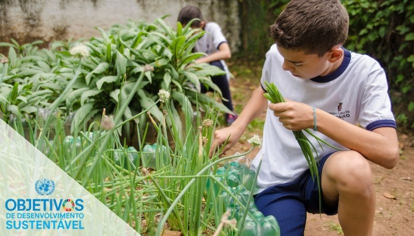 estudante mexendo com horta. logomarca da unesco com simbolo dos Objetivos de Desenvolvimento Sustentável