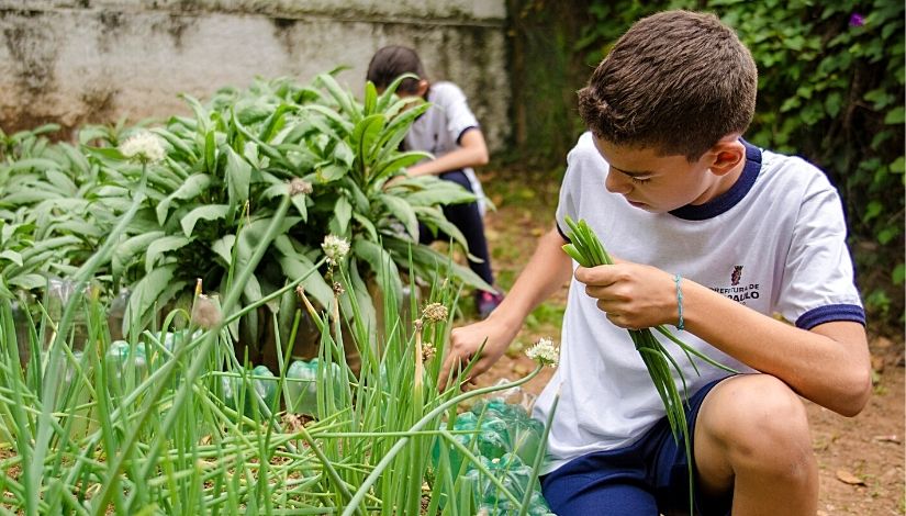 Imagem mostra em primeiro plano estudante colhendo cebolinha a horta da escola.