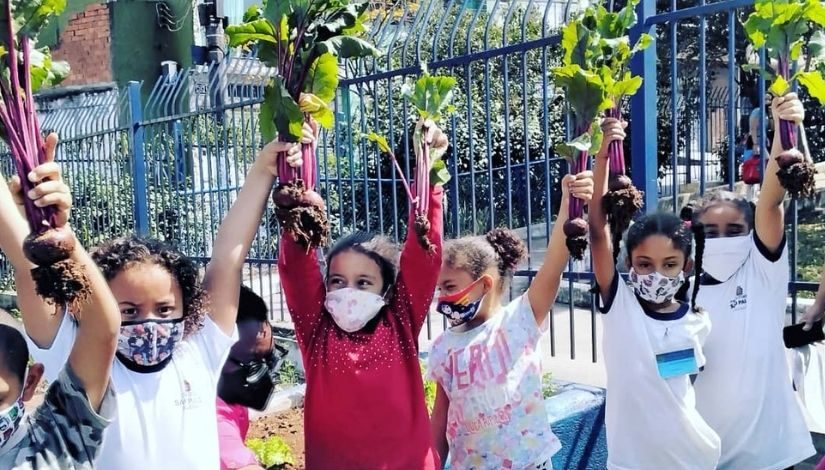 Educacao Alimentar