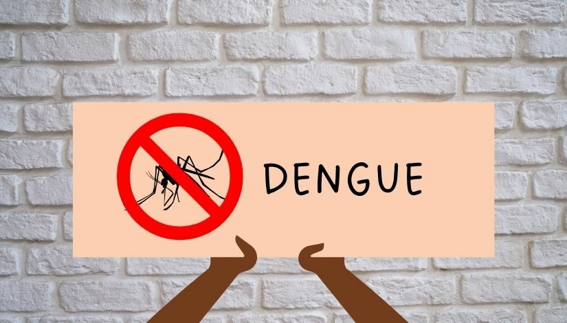 Imagem com com fundo de tijolinhos brancos e mãos segurando um cartaz escrito “DENGUE”, ao lado esquerdo há um mosquito da dengue com um símbolo de bloqueio sobre ele.