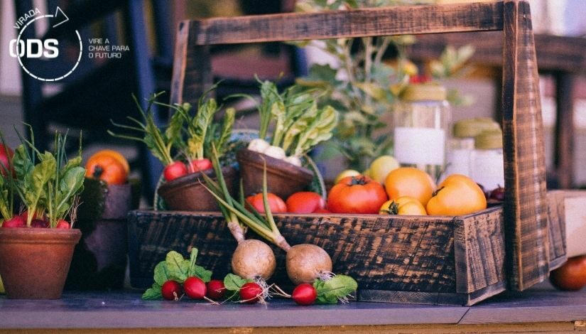foto de uma cesta de alimentação com tomates e rabanetes. como o logotipo da Virada ODS