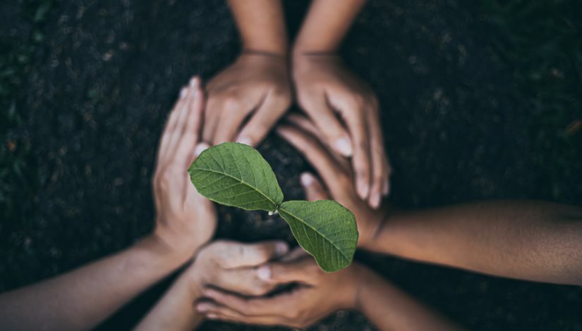 Fotografia com o fundo de terra, no centro a muda de uma planta com duas folhas verdes e, ao seu redor, as mão de três pessoas formando um círculo ao seu redor, sobre um pequeno monte de terra.