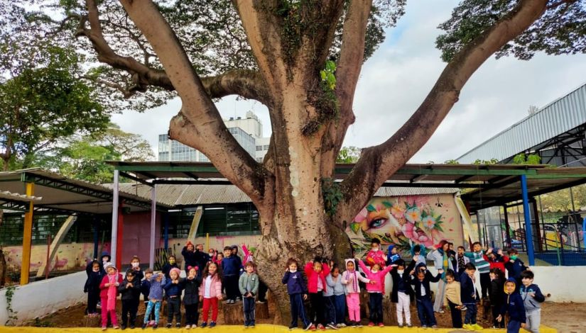 Várias crianças em frente a uma árvore de jatobá bicentenária que se localiza no parque da EMEI Borba Gato.