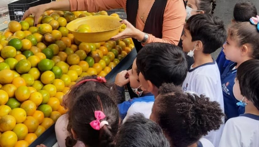 Fotografia mostra 11 crianças observando uma banca com laranjas que está a frente deles. Uma mulher está segurando uma bacia amarela e pegando laranjas.