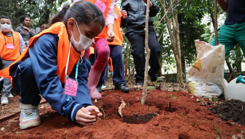 Criança incluindo terra em uma muda de árvore que está sendo plantada