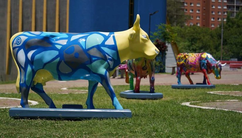 Cowparede - fotografia de esculturas de vacas pintadas por artistas