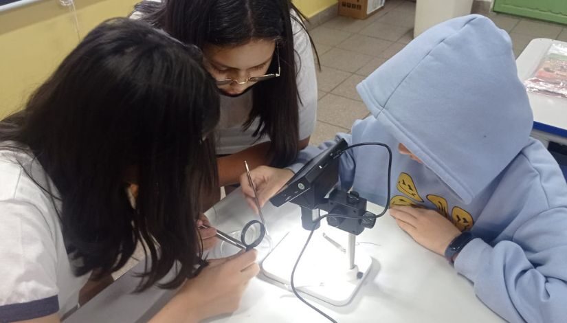 Três estudantes estão debruçados sobre um microscópio que está a frente deles, em cima de uma mesa. Eles seguram pinças e examinam o que está na base do microscópio.