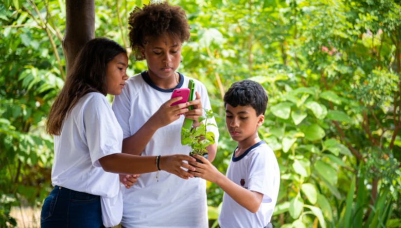 Fotografia com três estudantes, um menino e uma menina seguram uma muda de planta, e a terceira menina aponta o celular para a muda. Ao fundo, muitas folhas verdes das árvores.