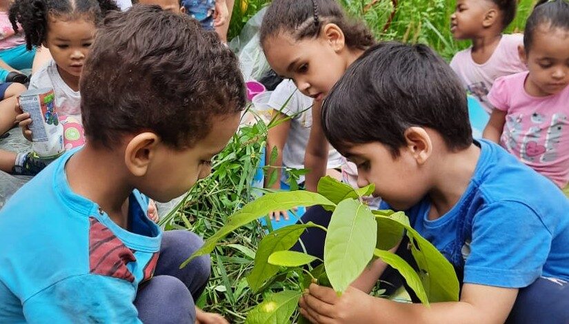 Foto de crianças pequenas mexendo na horta