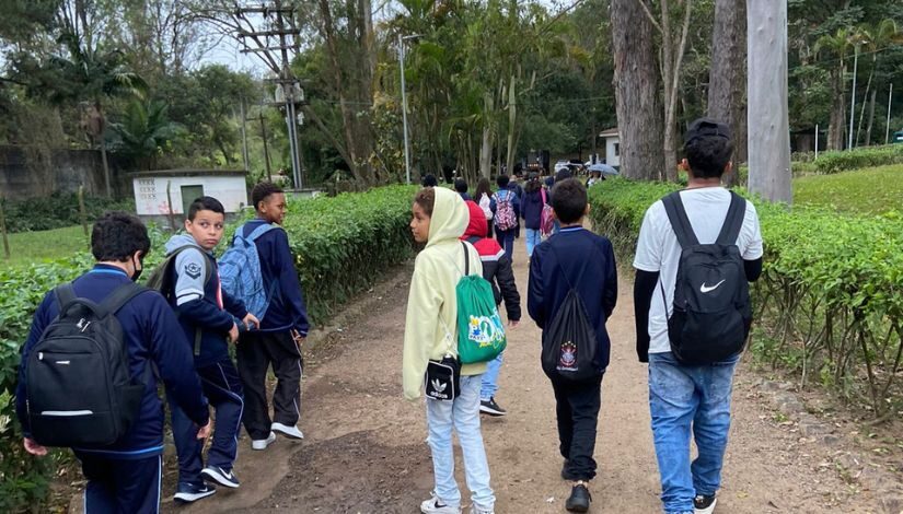 Estudantes estão caminhando de costas para a foto. Eles estão usando blusas de frio e carregando mochilas nas costas. Nas laterais, há arbustos e ainda se vê árvores.