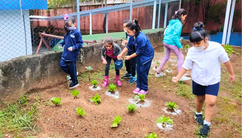 Crianças estão de pé em lugar onde o chão é de terra. No chão tem alfaces plantados e as crianças estão jogando um pozinho branco neles.