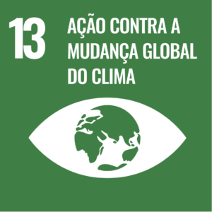 Ícone do ODS 13: quadrado verde, escrito em branco na parte superior: "13" e "AÇÃO CONTRA A MUDANÇA GLOBAL DO CLIMA". Na parte central e inferior, há a imagem de um olho em que a íris é o planeta Terra.