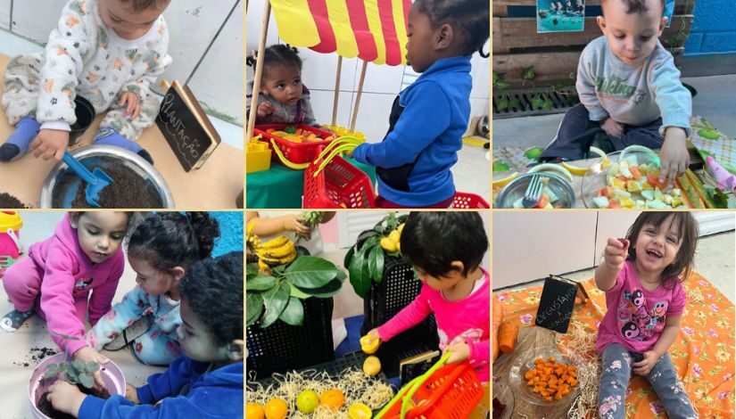 Montagem com seis fotos. Elas mostram crianças experimentando sala de frutas, cenoura, laranja e plantando.