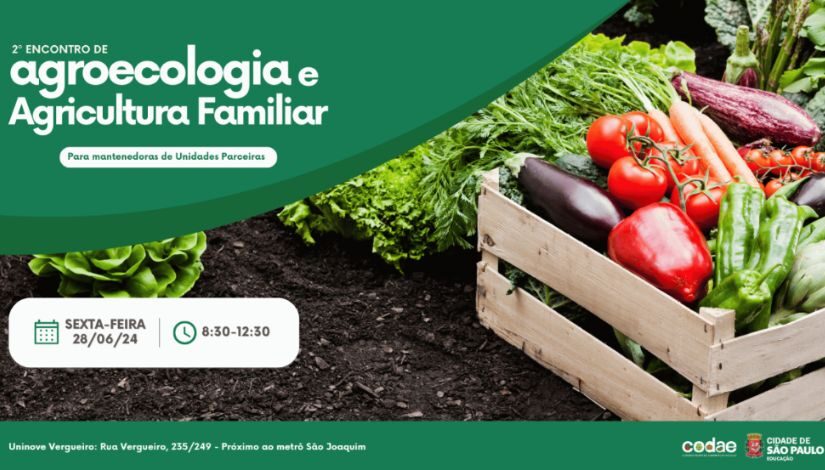 Imagem com uma caixa de madeira com beringela e tomate. Também há uma horta com folhas verdes e terra.