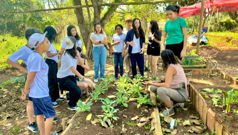 Role Agroecológico Codae