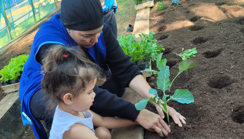 Maes Gae Criança Plantando Codae