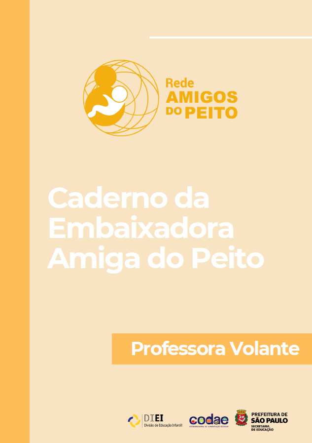 Imagem Caderno Professora Volante