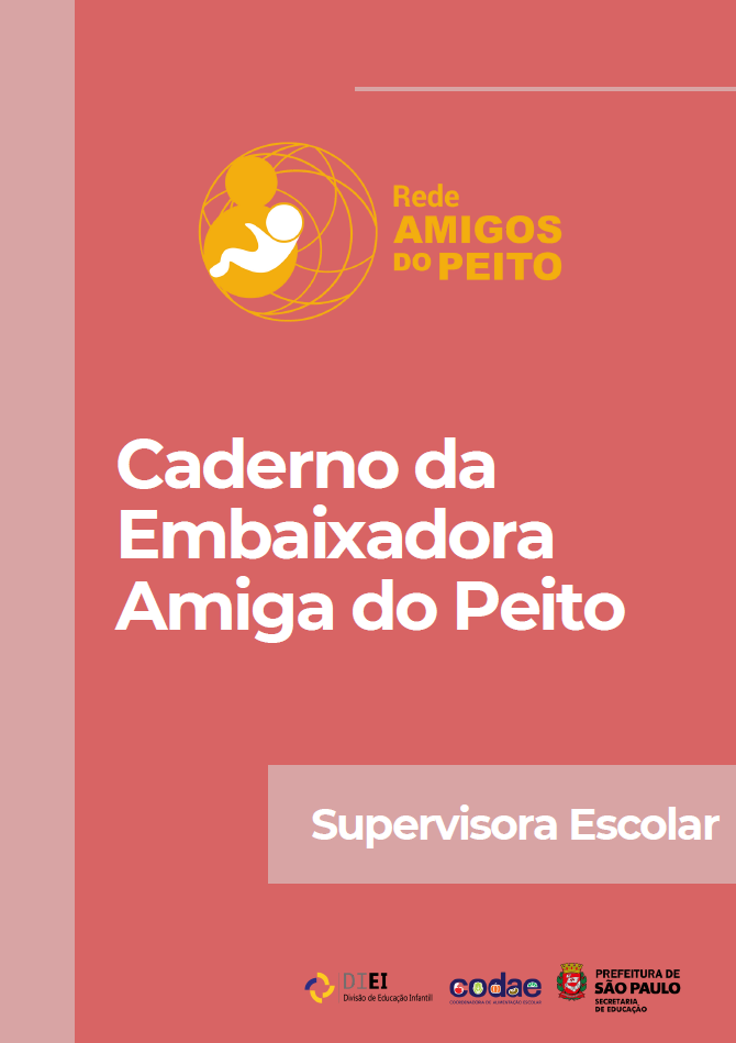 Imagem Caderno Supervisora Escolar