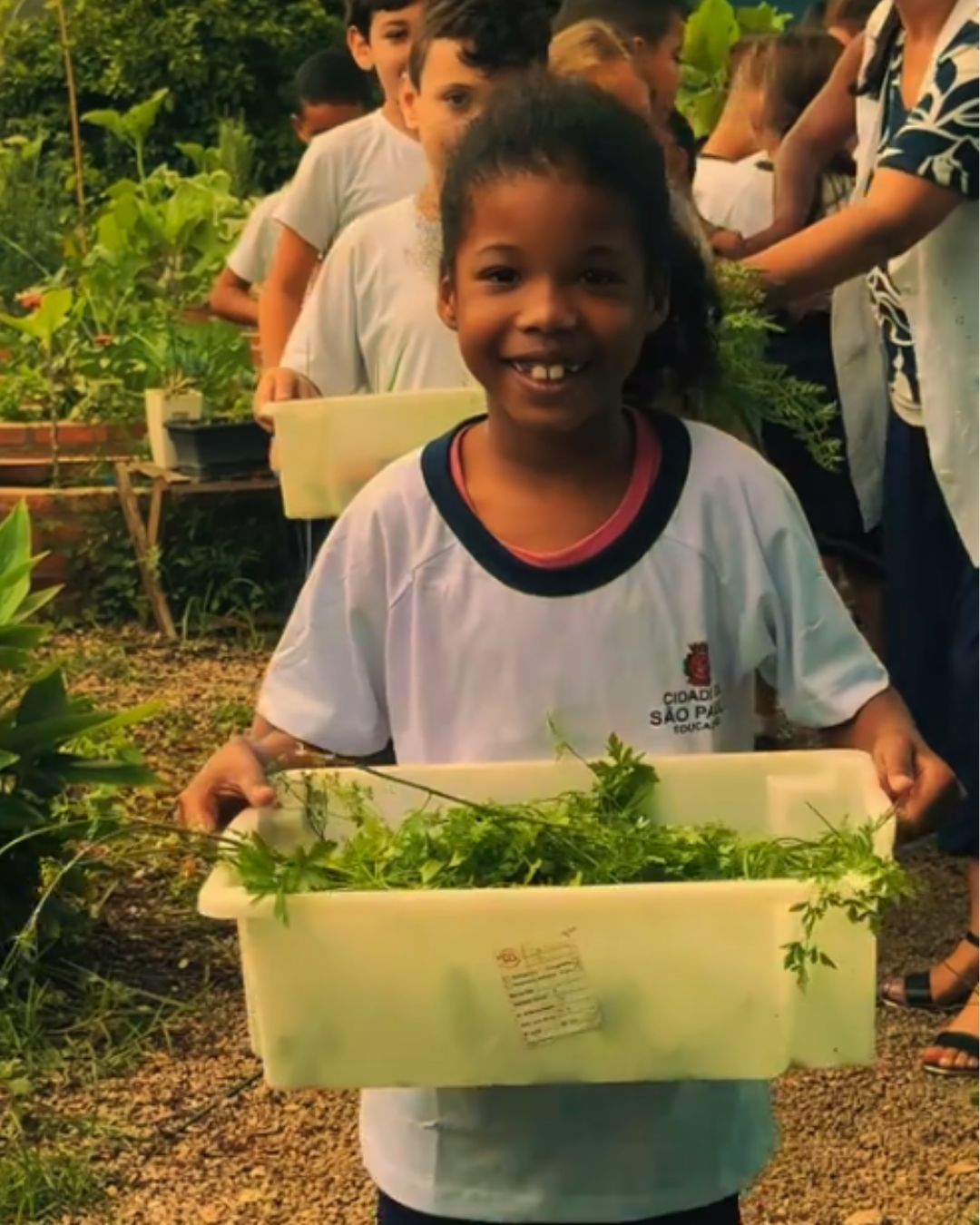 Destaque Home Portal