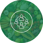 Icones Menu Codae (1)