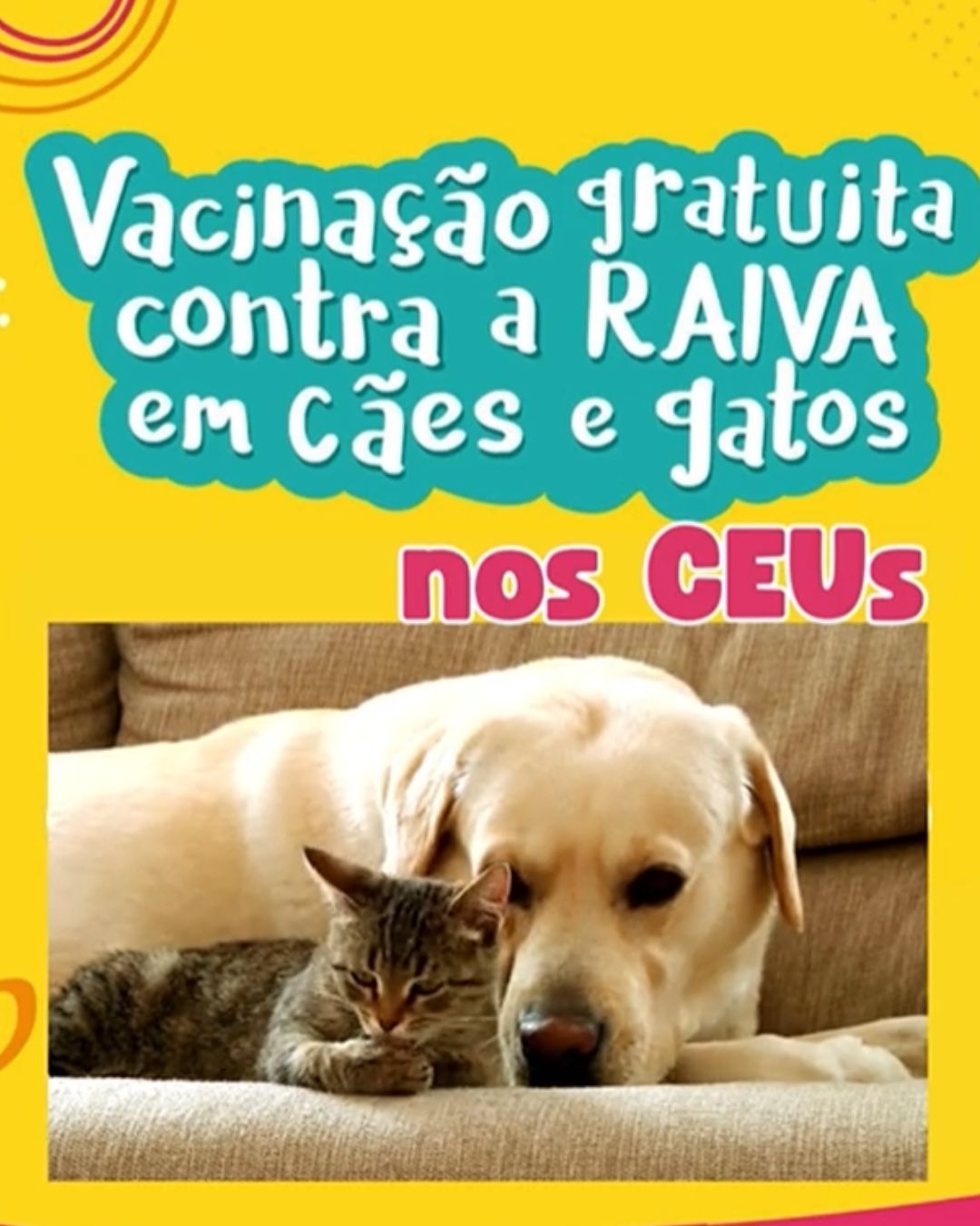 Destaque Home Portal (18)