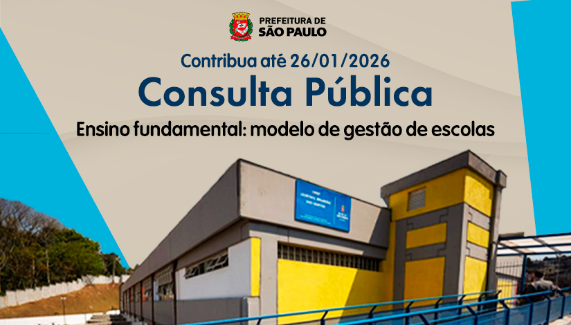 Consulta Publica Site