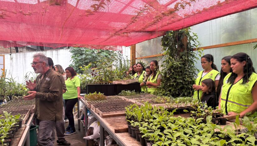 Prefeitura de São Paulo promove formação para novas Mães Guardiãs da Alimentação Escolar