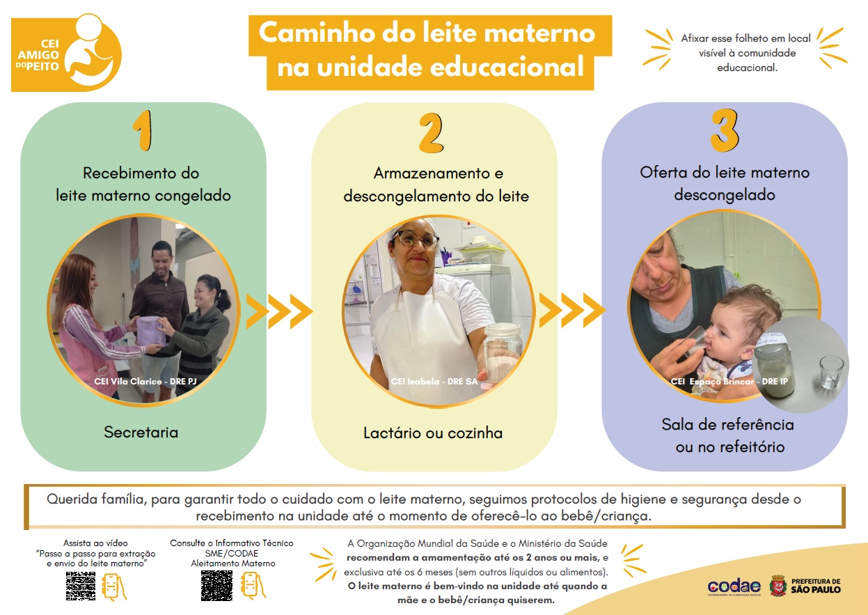 Caminho Do Leite Materno Na Ue