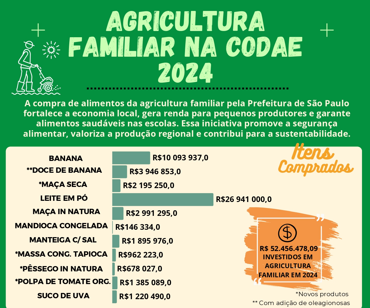 Meio Infografico 2024