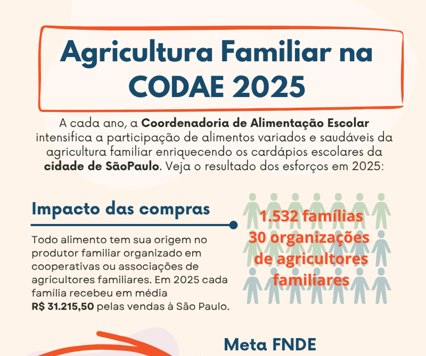 Meio Infografico 2025