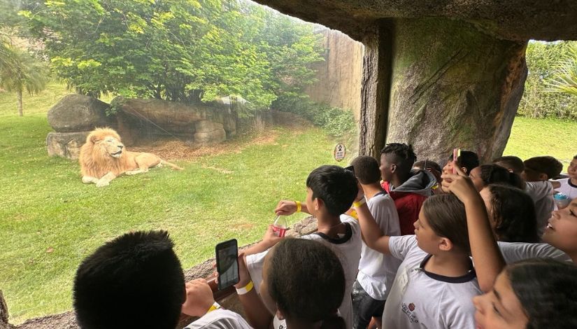 Fotografia de estudantes observando um leão no Animália Park.