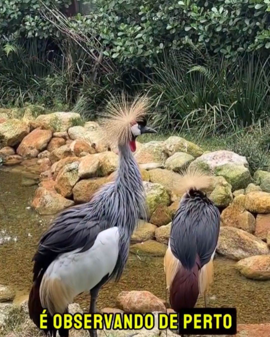 Destaque Home Portal (12)