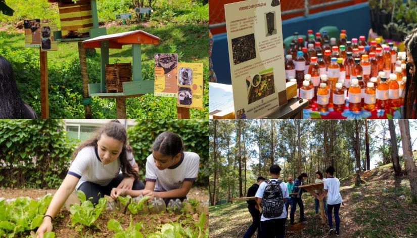 Montagem com quatro imagens que retratam práticas sustentáveis em ambiente escolar. No canto superior esquerdo, há uma estrutura de madeira em área verde, acompanhada de placas informativas, sugerindo um espaço educativo ambiental. No canto superior direito, uma mesa exibe diversas garrafas reutilizadas e um painel explicativo sobre compostagem. No canto inferior esquerdo, duas estudantes cuidam de uma horta, observando e manuseando plantas em um canteiro. No canto inferior direito, um grupo de estudantes caminha em área arborizada, carregando uma estrutura de madeira, indicando atividade prática ao ar livre. A composição destaca ações educativas voltadas à sustentabilidade e ao meio ambiente.
