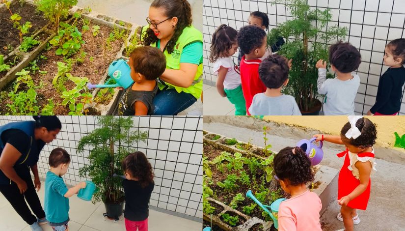 Montagem com quatro fotos de crianças pequenas participando de atividades de cuidado com plantas em um ambiente escolar. Nas imagens, educadoras acompanham as crianças enquanto eles regam hortaliças e observam plantas em vasos e canteiros. As crianças aparecem interagindo com a natureza de forma lúdica e educativa, utilizando regadores coloridos em um espaço ao ar livre.