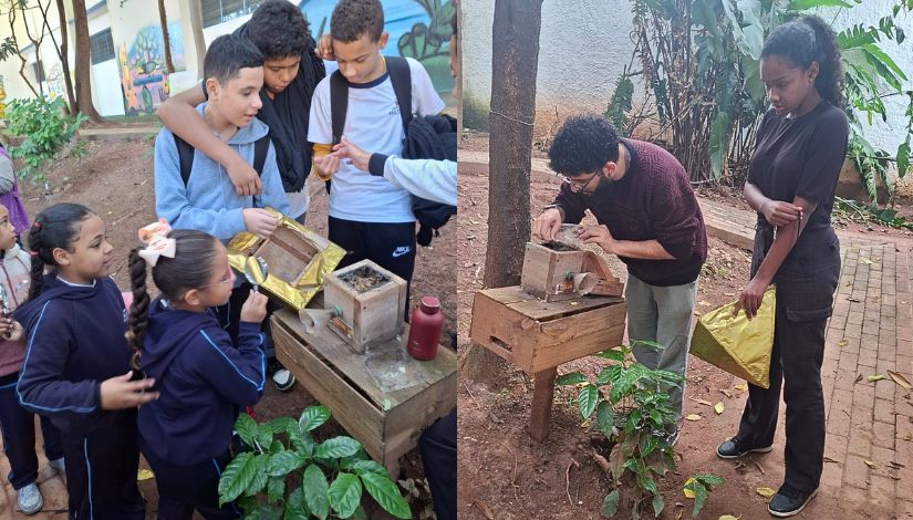 Imagem composta de duas fotografias de crianças e adolescentes observando abelhas sem ferrão.